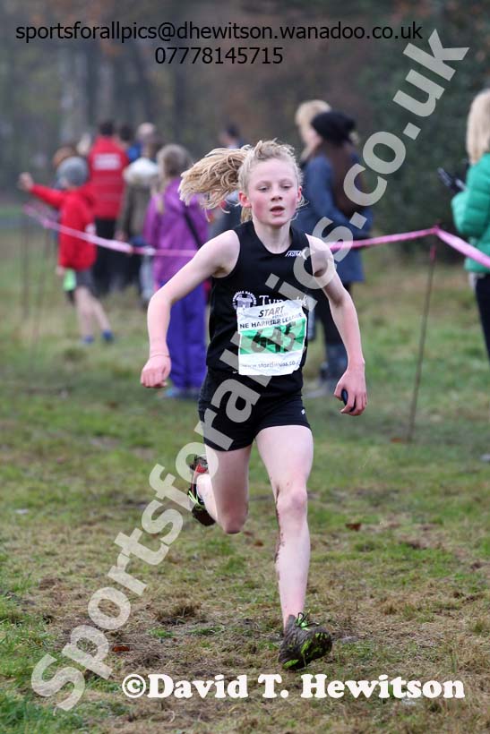 Under-13  girls NEHL, Aykley Heads, Durham. Photo: David T. Hewitson/Sports for All Pics